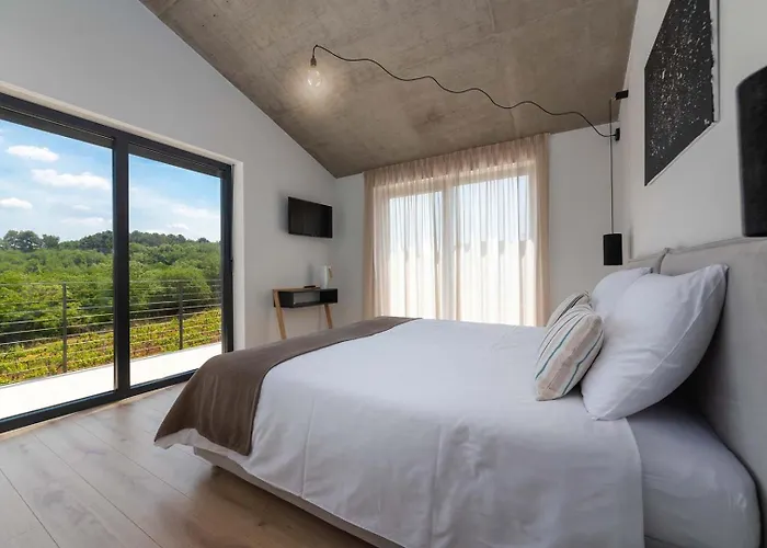 Villa Perlin Višnjan